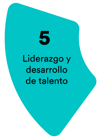 circulo 5